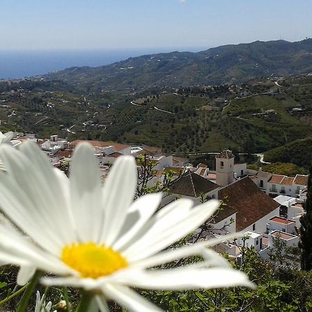 הוילה Casa Ana, Fantasticas Vistas A Frigiliana, El Mar Y La Montana מראה חיצוני תמונה