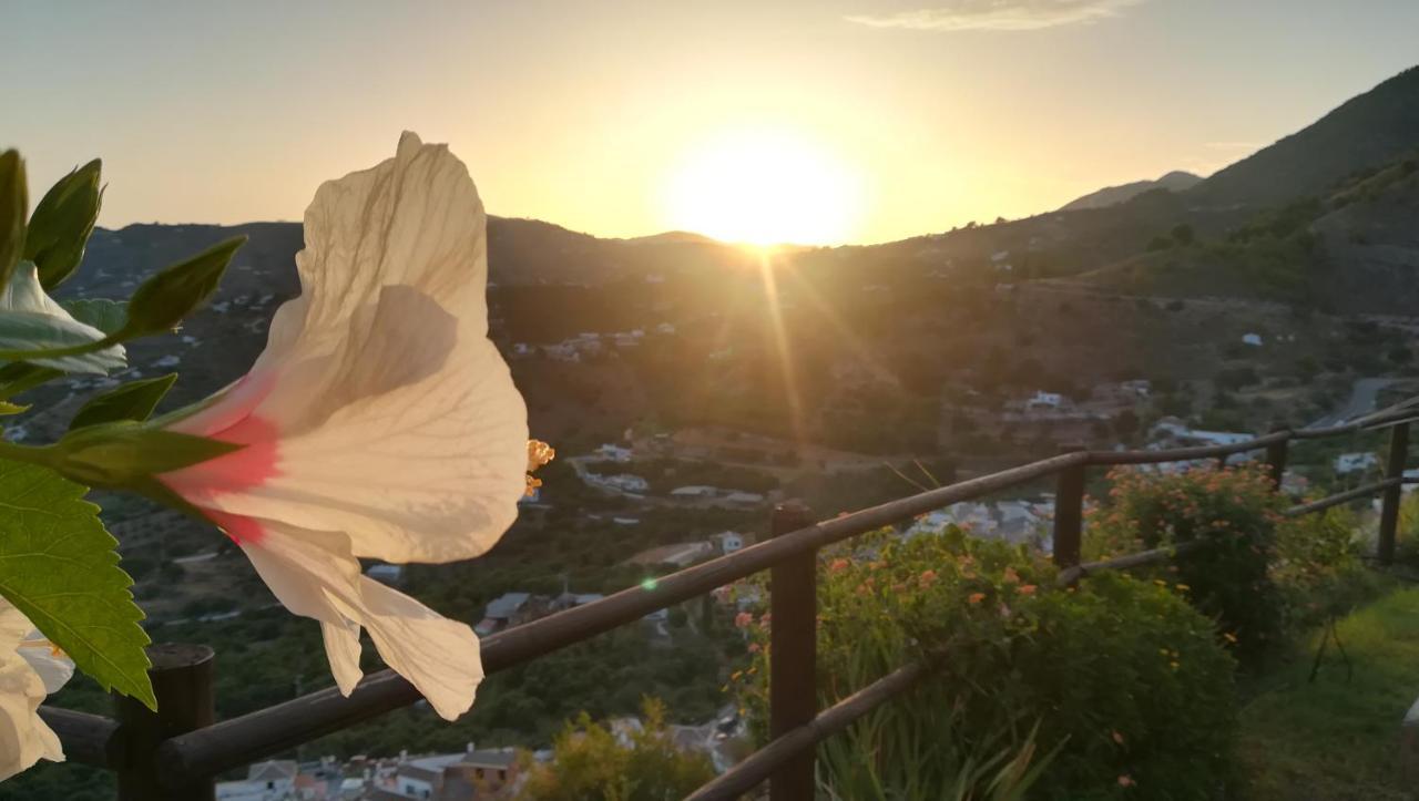 הוילה Casa Ana, Fantasticas Vistas A Frigiliana, El Mar Y La Montana מראה חיצוני תמונה