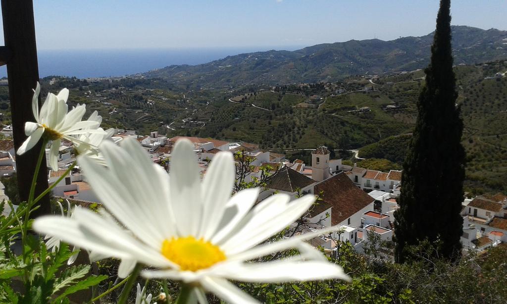 הוילה Casa Ana, Fantasticas Vistas A Frigiliana, El Mar Y La Montana מראה חיצוני תמונה