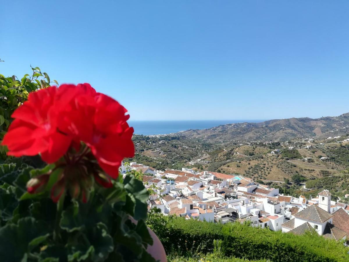 הוילה Casa Ana, Fantasticas Vistas A Frigiliana, El Mar Y La Montana מראה חיצוני תמונה